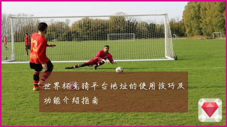 世界杯竞猜平台地址的使用技巧及功能介绍指南