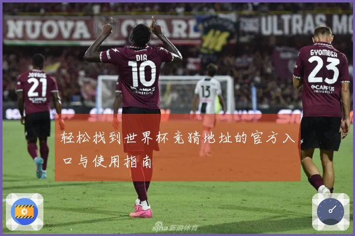轻松找到世界杯竞猜地址的官方入口与使用指南