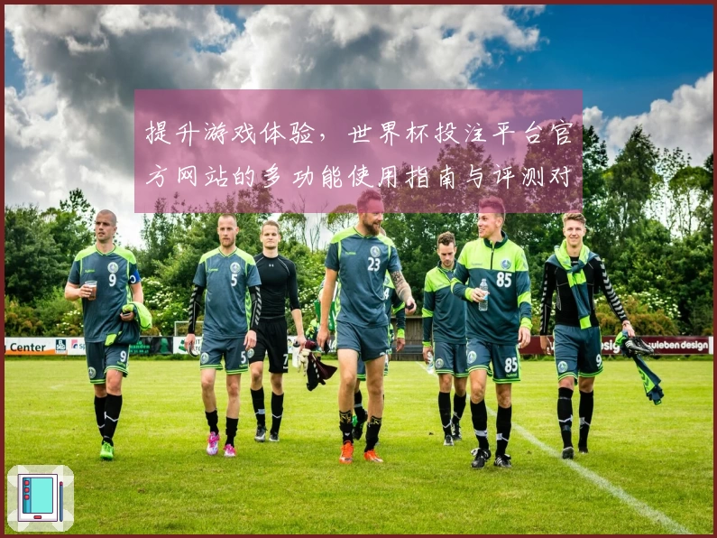 提升游戏体验，世界杯投注平台官方网站的多功能使用指南与评测对比
