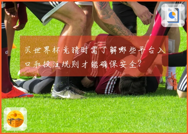 买世界杯竞猜时需了解哪些平台入口和投注规则才能确保安全?
