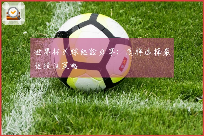 世界杯买球经验分享：怎样选择最佳投注策略
