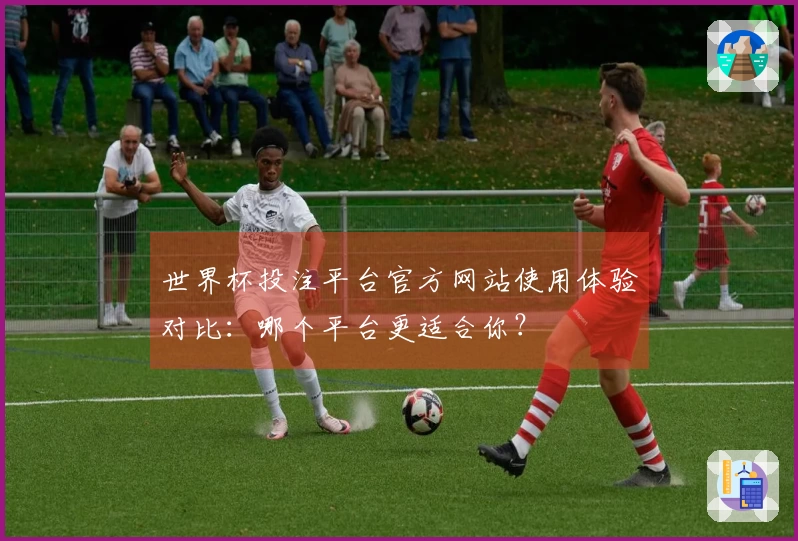 世界杯投注平台官方网站使用体验对比：哪个平台更适合你？