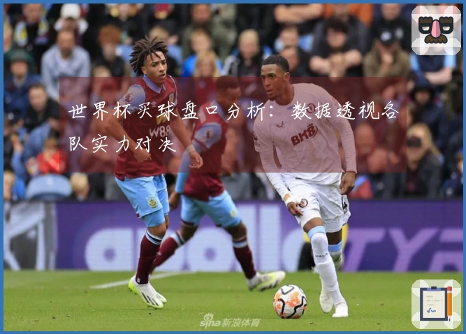 世界杯买球盘口分析：数据透视各队实力对决