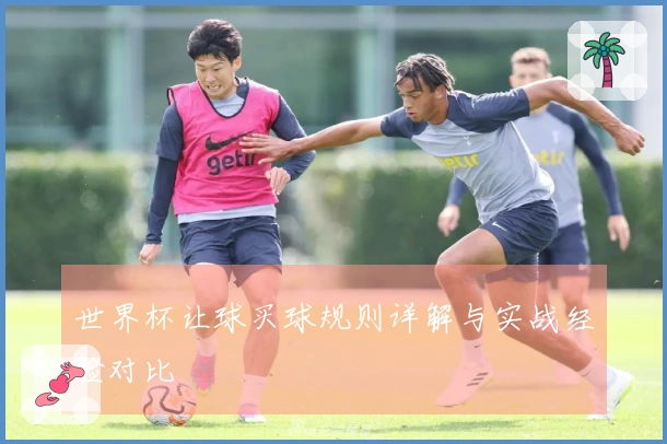 世界杯让球买球规则详解与实战经验对比