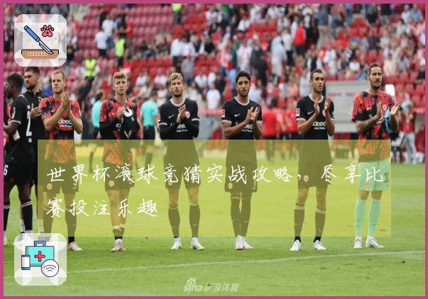 世界杯滚球竞猜实战攻略，尽享比赛投注乐趣