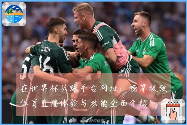 在世界杯买球平台网址，畅享极致体育直播体验与功能全面介绍