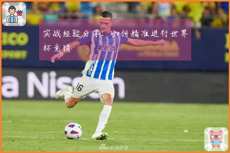 实战经验分享：如何精准进行世界杯竞猜