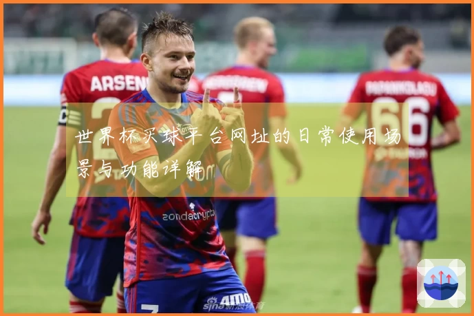世界杯买球平台网址的日常使用场景与功能详解