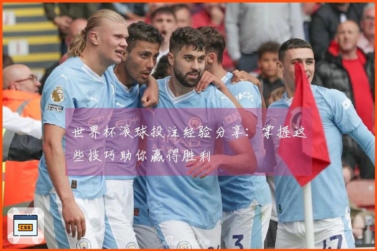 世界杯滚球投注经验分享：掌握这些技巧助你赢得胜利