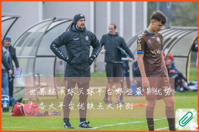 世界杯滚球买球平台哪些最具优势？各大平台优缺点大评测