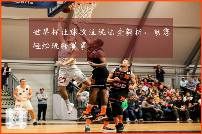 世界杯让球投注玩法全解析，助您轻松玩转赛事