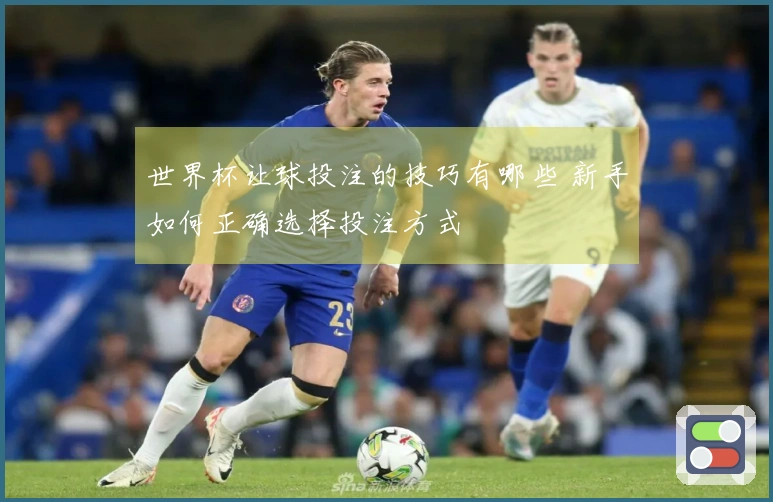 世界杯让球投注的技巧有哪些 新手如何正确选择投注方式
