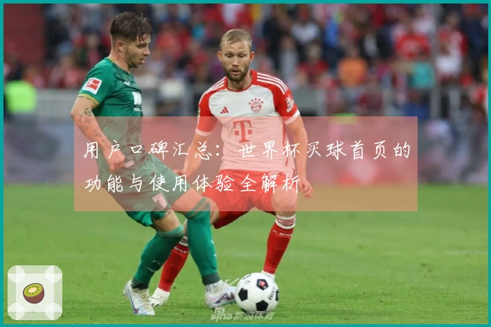 用户口碑汇总：世界杯买球首页的功能与使用体验全解析