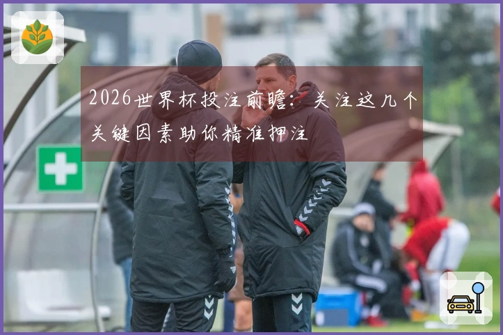 2026世界杯投注前瞻：关注这几个关键因素助你精准押注