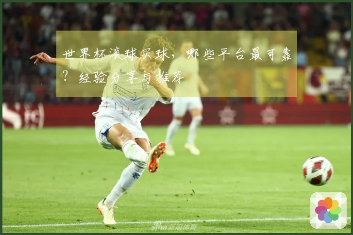 世界杯滚球买球，哪些平台最可靠？经验分享与推荐