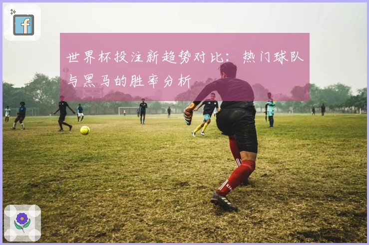 世界杯投注新趋势对比：热门球队与黑马的胜率分析