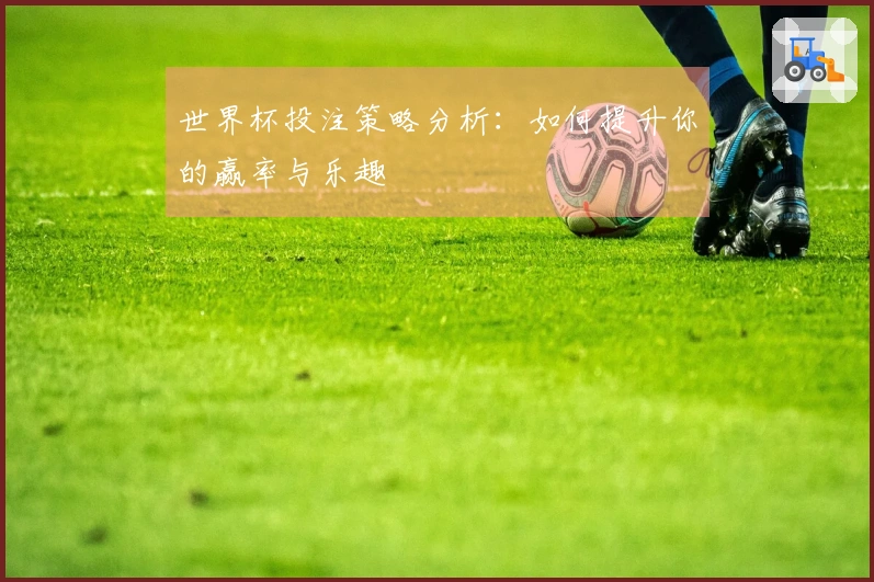 世界杯投注策略分析：如何提升你的赢率与乐趣