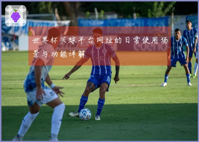 世界杯买球平台网址的日常使用场景与功能详解