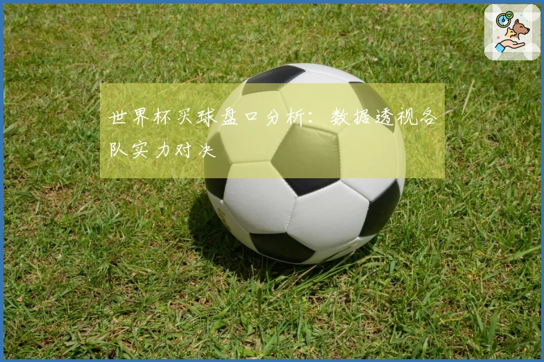 世界杯买球盘口分析：数据透视各队实力对决