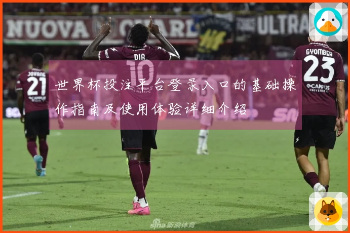 世界杯投注平台登录入口的基础操作指南及使用体验详细介绍