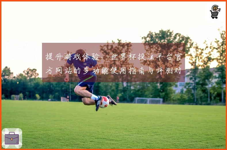 提升游戏体验，世界杯投注平台官方网站的多功能使用指南与评测对比