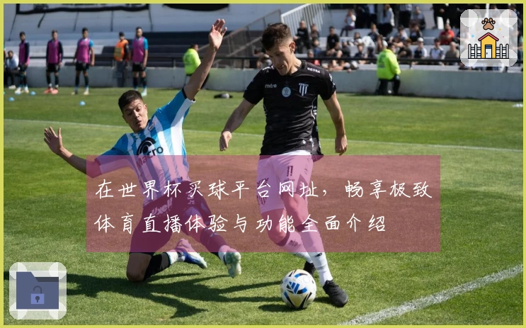 在世界杯买球平台网址，畅享极致体育直播体验与功能全面介绍
